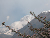 Il Monte Bianco