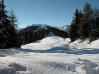 Panorama d'hiver