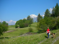 Promenades avec le panorama du Mont Blanc